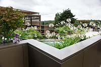 View over urban, roof garden showing edge of garden with coping with white flowers Agapanthus beyond