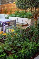 Flowerbed in small London garden. Planting includes Ligularia dentata 'Desdemona', Persicaria 'Purple Fanstasy', Euonymus japonicas 'Green Rocket' and Euonymus japonicas 'Green Spire'