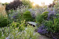 Wooden bench framed by clipped box, Nepeta 'Six Hills Giant' and borders brimming with grasses and herbaceous perennials including Valeriana officinalis, Stipa gigantea, geraniums, Deschampsia caespitosa 'Goldschlier' and Phlomis russeliana at Sea View, Cornwall, UK in June.