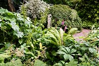 Lush planting in the shady dell including ferns, veratrum, rodgersias and astilbes at York Gate Garden in July.