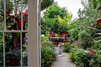 This area is known as the Parterre with herbaceous borders looking towards succulent display - view from inside house. The tall feathery plants are Foeniculum vulgare - green and purpureum - bronze with Helenium Wyndley, Echinacea Magnus Superior, Echinacea Pow Wow White, Canna Tropicana Black, Agastache Black Adder, Geranium Rozanne, Verbena bonariensis.