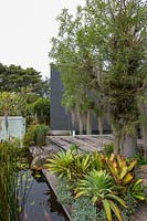 A timber deck  and a pond with a Queensland Bottle Tree, Brachychiton rupestris, featuring bromeliads and a collection of airplants, Tillandsias growing in the tree.