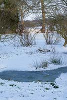 An old wild frozen pond, possibly a field ditch remnant, snow in late February. The Old Rectory, Suffolk, UK