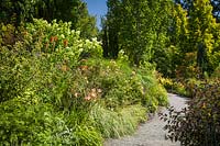 Kniphofia 'Alcazar' - Red Hot Poker, Hemerocallis - Daylilies and Hydrangea paniculata 'Limelight' in perennial border at Bellevue Botanical Garden