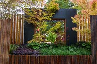 A raised garden bed, decorative screen and timber slat screens, wall clad with bamboo. Planting featuring, Gingko, Japanese Mapled, Tractor Seat plant, Liriope and Chinese Fringe Plant 