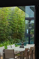 View of a swimming pool and a green screen of Slender Weavers Bamboo, through a room of a house with a dining table and chairs.