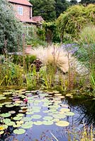 Naturalistic pond in a garden in rural Nottinghamshire surrounded by planting including Stipa tenuissima, asters and Dierama pulcherrimum.