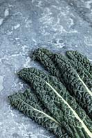 Cavolo Nero - Black Tuscan Kale - on a kitchen worktop