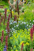 Flower bed with Echium russicum 'red-flowered viper's grass', Linum perenne 'blue perennial flax' and Euphorbia palustris. The Resilience Garden, RHS Chelsea Flower Show 2019.