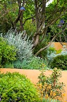 Split level garden with Mediterranean planting. The Dubai Majlis Garden 
RHS Chelsea Flower Show 2019