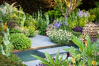 Paths and water feature surrounded by Iris 'Kent Pride', Rosa 'Ballerina' AGM, Anthemis punctata subsp. cupaniana AGM - Sicilian chamomile and Salvia x sylvestris 'Mainacht'. The Morgan Stanley Garden.  
RHS Chelsea Flower Show 2019, Gold medal winner