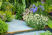 Paths and water feature surrounded by Iris 'Kent Pride', Rosa 'Ballerina' AGM, Anthemis punctata subsp. cupaniana AGM - Sicilian chamomile. The Morgan Stanley Garden. 
RHS Chelsea Flower Show 2019, Gold medal winner