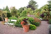 The Exotic Garden at Abbeywood Gardens Planting includes Geranium palmatum, Salvia coccinea, 'Lady in Red' Canna Begonia, Trachycarpus fortunei', Cordyline australis, Tibouchina urvilleana, Ensete ventricosum, 'Maurelii' and Datura.