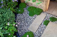 Contemporary paving with gravel and thyme in the 'Living in Sync' garden at BBC Gardener's World Live 2017