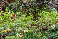 Summer borders in Bachus Garden. RHS Hampton Court Flower Show 2014.