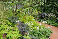 Path leading through mixed planted borders in The Waterscape Garden at RHS Chelsea Flower Show 2014 - Sponsor: RBC