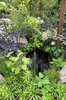 Deschampsia cespitosa, Astilbe, Ophiopogon planiscapus 'Nigrescens' around small reflective pond - Through Your Eyes Garden - RHS Hampton Court  Palace Garden Festival 2019. Sponsors: Kebony, CED Stone, R and G Metal Products, William's Art and Design, Practicality Brown.