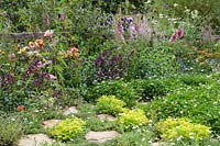 Perennial border with Digitalis, Salvia and clover lawn along rustic fence - The BBC Spring Watch Garden 2019 - RHS Hampton Court Festival 
Design: Jo Thompson in consultation with Kate Bradbury