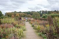 An autumnal herbaceous double border with perennials including Carpinus betulus hedge - European Hornbeam, Rudbeckia fulgida syn - Black-eyed Susan, Dahlia and ornamental grasses