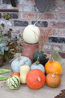 Autumn arrangement of Pumpkin and Squash