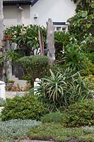 A garden with a dense planting of ground covers with an Aloe with spines and flowering Frangipani and a clipped rosemary featuring a wharf timber totem pole sculpture.