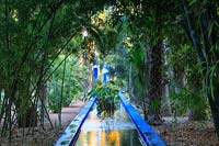 Blue painted rill overshadowed by bamboos and palms, Le Jardin Majorelle, Majorelle Garden, Marrakech.