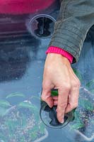 Woman adjusting vent on propagator lid.