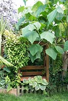 Small urban garden full of exotics. Planting includes: Paulownia tomentosa and Brunnera 