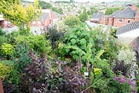 Overview of small urban garden full of exotics
