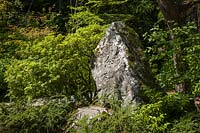 Japanese-style garden with memorial stone with carved lettering, framed by Pieris japonica and Cotoneaster 