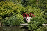 Japanese-style garden with red moon bridge over water surrounded by green foliage planting. Plants: Acer palmatum, Viburnum, Rhododendron, Taxus cuspidata 