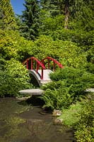 Japanese-style garden with red moon bridge over pond. Plants include: Acer palmatum, Viburnum, Rhododendron and Taxus cuspidata 