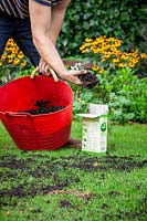 Mixing grass seed with compost and scattering it on a lawn