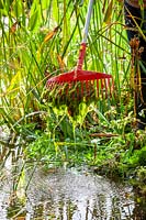 Removing pond weed from a stream using a rake