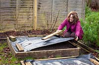 Covering a raised bed in the vegetable garden with black sheeting to warm the soil and prevent weeds