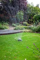 Watering a lawn with a sprinkler