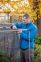 Putting up a netting cage around Brassica plants to protect from pigeons