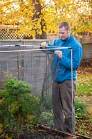 Putting up a netting cage around Brassica plants to protect from pigeons