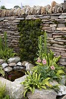 Moss mounds set amongst the dry stone wall, dripping into a pond in the 'Elements of Sheffield' garden at the RHS Chatsworth Flower Show 2019.