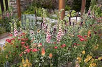 Naturalistic planting in the 'Elements of Sheffield' garden at the RHS Chatsworth Flower Show 2019