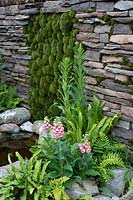 Detail of dry stone wall and moss mounds with naturalistic planting in the 'Elements of Sheffield' garden at the RHS Chatsworth Flower Show 2019.