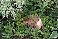 Log used as insect hotel in the 'RHS Garden for Wildlife Wild Woven' - RHS Chatsworth Flower Show 2019.