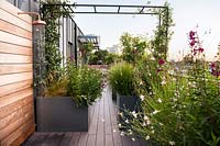 Roof garden with copper outdoor shower surrounded by Trachelospermum jasminoides, Gaura lindheimeri 'Whirling Butterflies' and Penstemon 'Raven' AGM in containers.