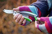 Adjusting the catch on some secateurs. 