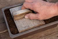 Compacting soil using a hand tamper for sowing of seeds 