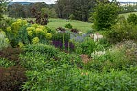 View across large herbaceous bed with a view to the surrounding countryside, planting a mixture of foliage and flowering plants, perennials such as Euphorbia - Spurge, plus annuals Lupinus - Lupin