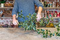 Man using secateurs to cut suitable lengths of Holly twigs