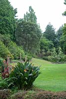 Botanical Gardens Napier New Zealand Lawn with strelitzia