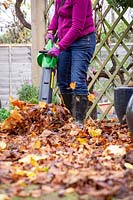 Clearing leaves from paving and paths using a leaf blower