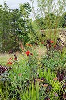 Coppiced Salix - willow with perennials and grasses - Believe in Tomorrow Garden - RHS Hampton Court  Palace Garden Festival 2019 